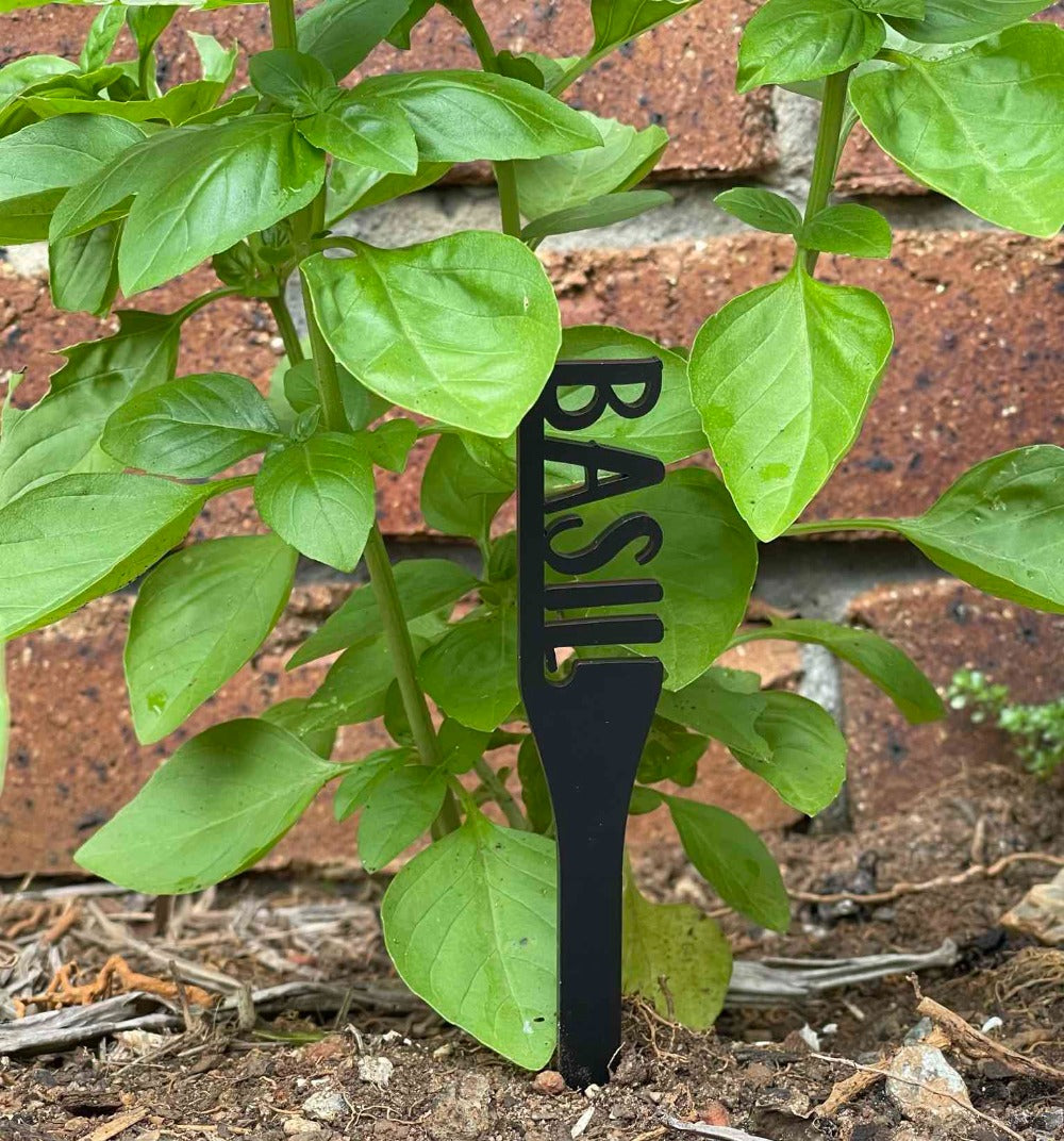 basil herb garden sign
