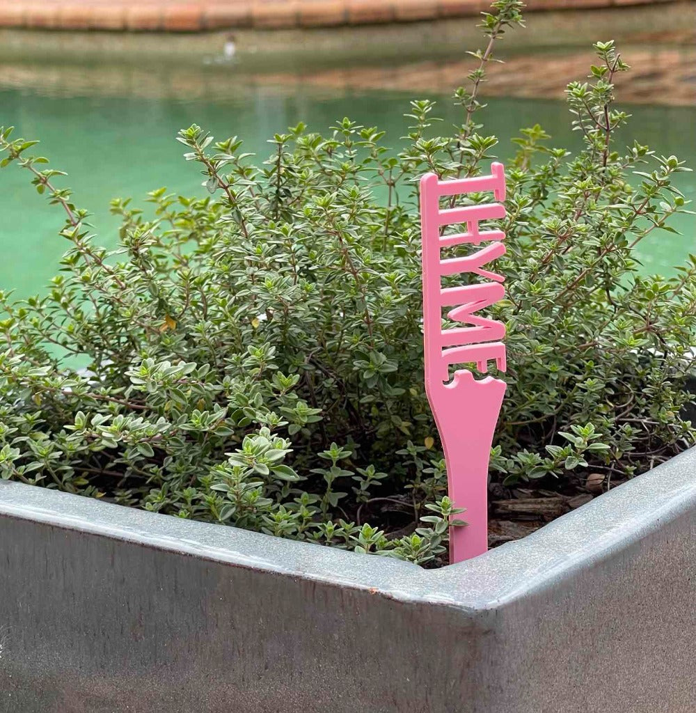 herb sign stake thyme pink