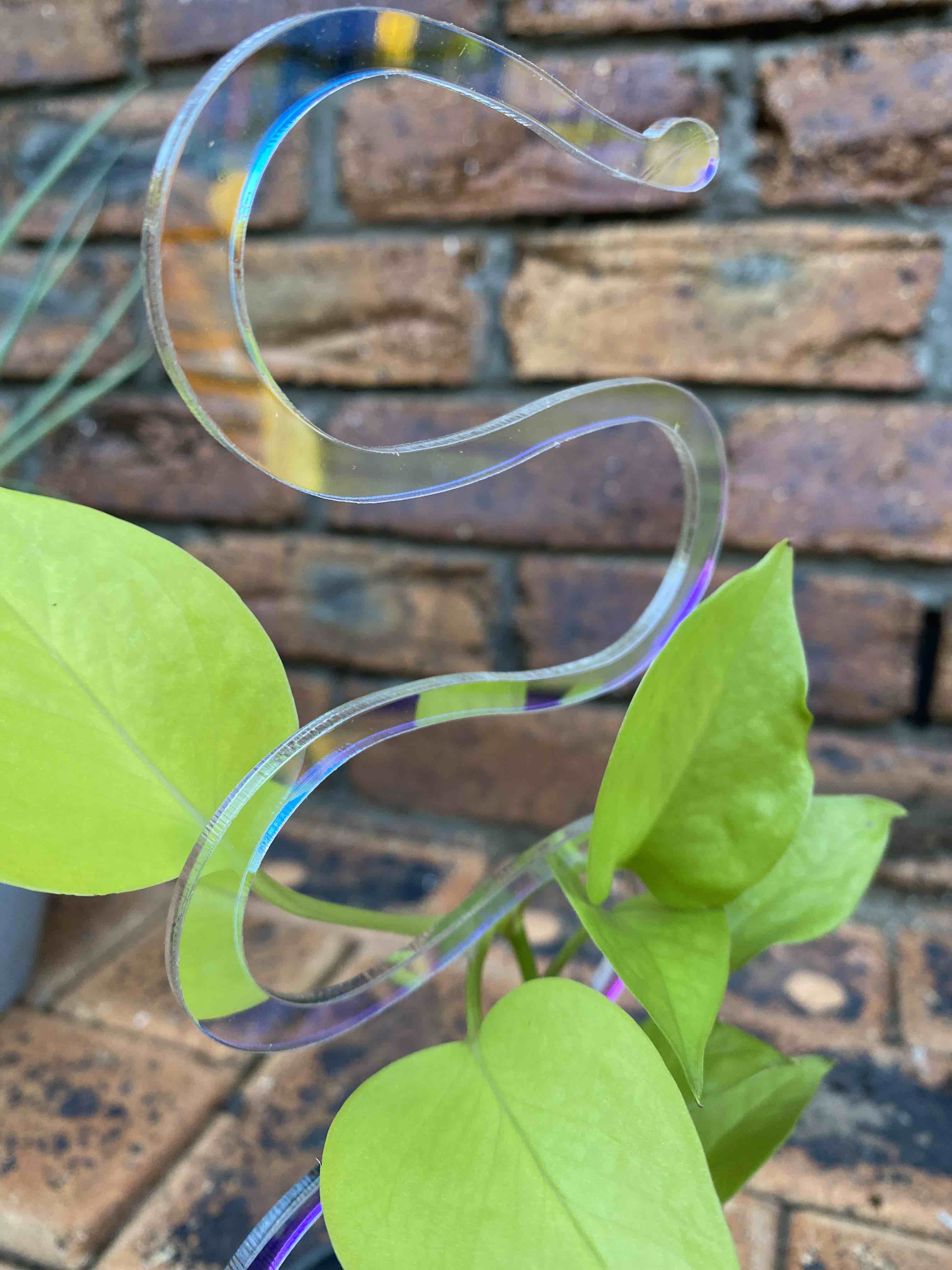 Acrylic Plant Trellis - Medium