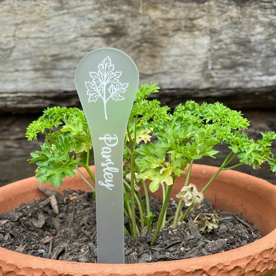 parsley herb sign in a plant