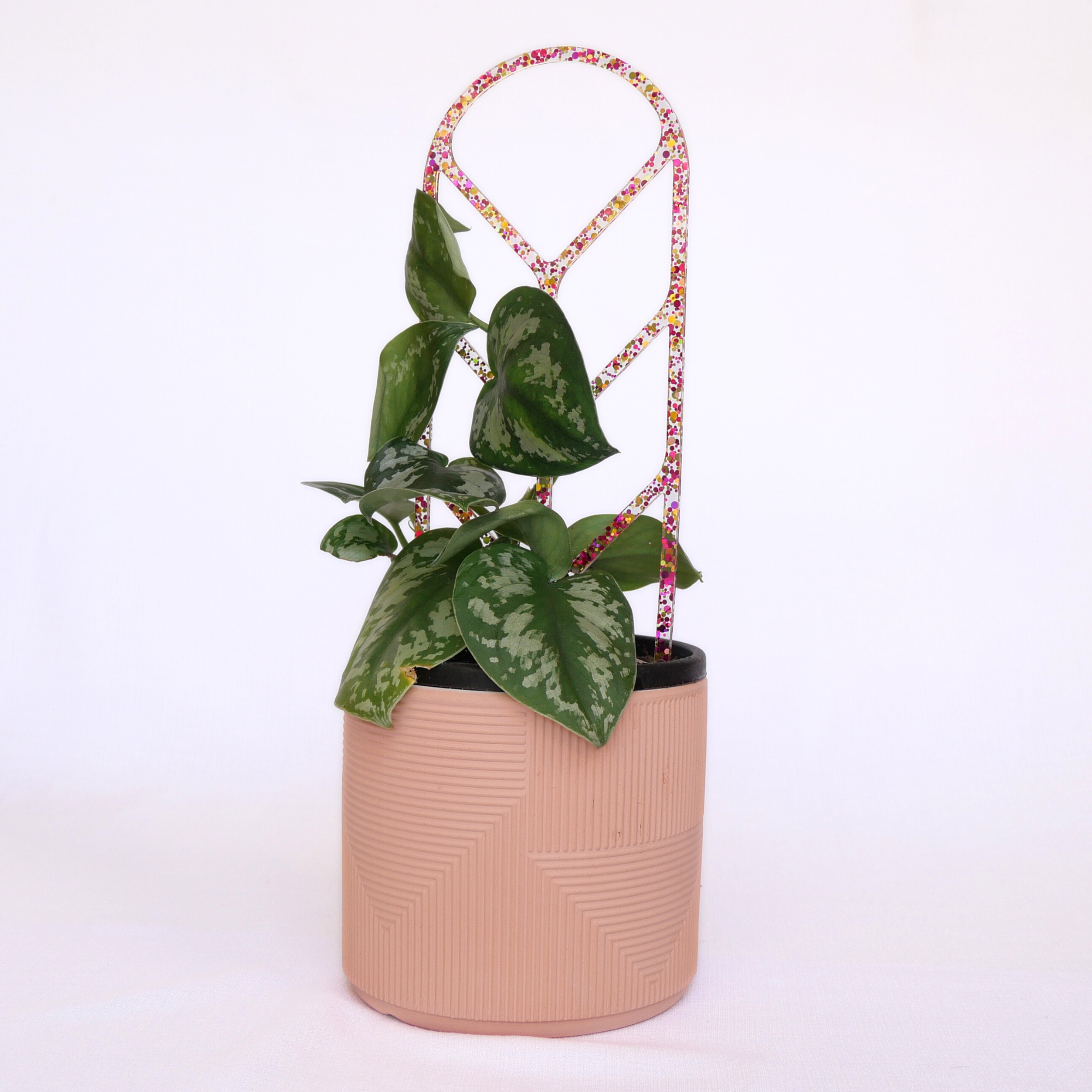 Acrylic Plant Trellis - Large